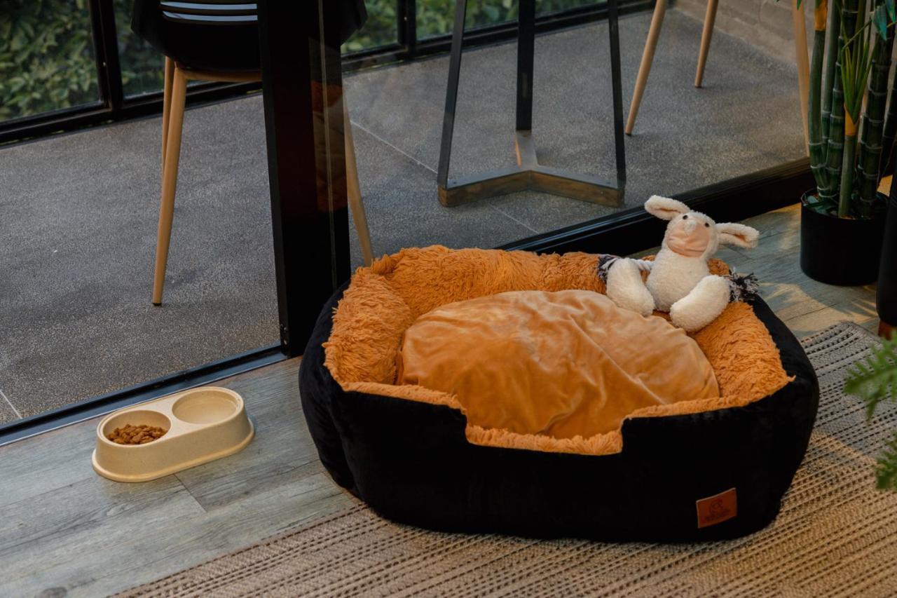 Soul Lifestyle Hotel メデジン エクステリア 写真