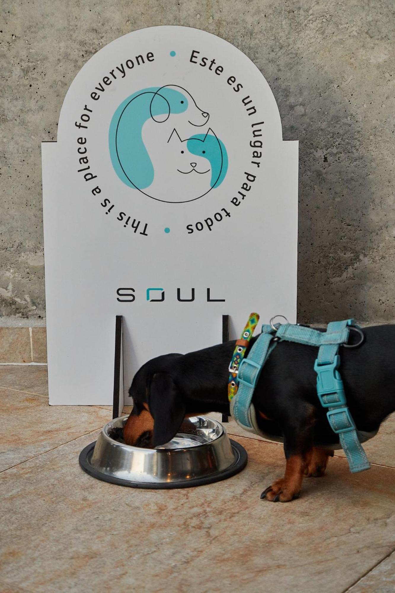 Soul Lifestyle Hotel メデジン エクステリア 写真